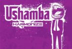 DOWNLOAD MP3 Harmonize - Ushamba AUDIO