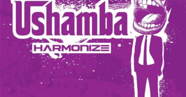 DOWNLOAD MP3 Harmonize - Ushamba AUDIO