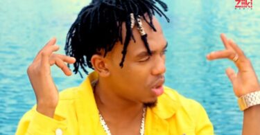 VIDEO Dogo Janja - Wayu Wayu MP4 DOWNLOAD