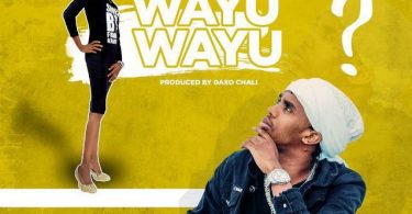 AUDIO Dogo Janja - Wayu Wayu MP3 DOWNLOAD