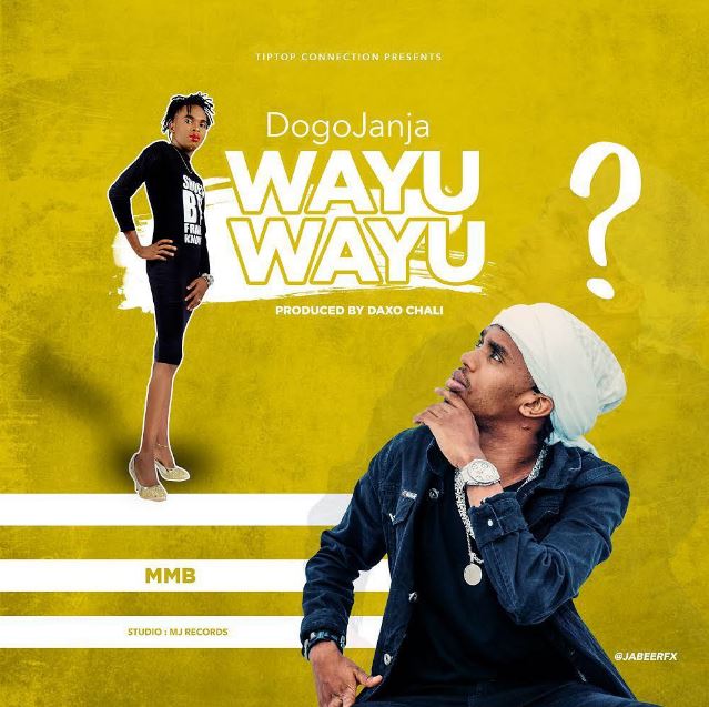 Dogo Janja - Wayu Wayu | mp3 audio Download — citiMuzik