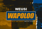 AUDIO Weusi - Wapoloo MP3 DOWNLOAD