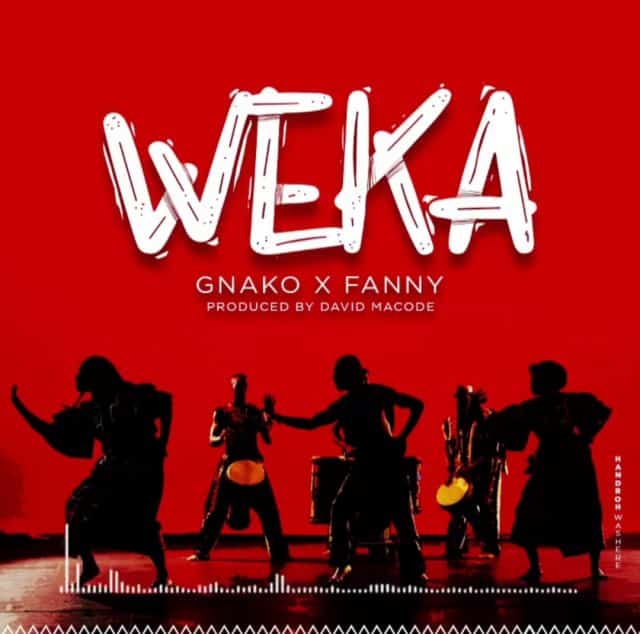 AUDIO G Nako Ft Fany - Weka MP3 DOWNLOAD