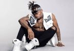 DOWNLOAD MP3 Diamond Platnumz – The One