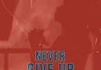 DOWNLOAD MP3 Harmonize - Never give up