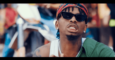 DOWNLOAD VIDEO Diamond Platnumz - Kanyaga MP4