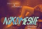 AUDIO Dully Sykes Ft Harmonize - Nikomeshe MP3 DOWNLOAD