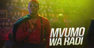 VIDEO Alikiba - Mvumo Wa Radi MP4 DOWNLOAD