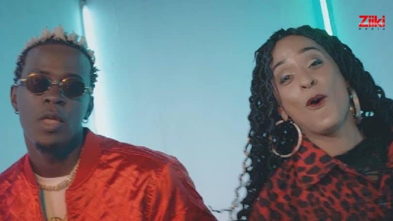 VIDEO Willy Paul Ft Alaine - Shado Mado MP4 DOWNLOAD