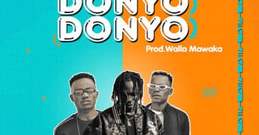 AUDIO Wachache Music Ft Country Boy - Donyo Donyo MP3 DOWNLOAD