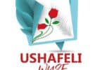 AUDIO Wyse - Ushafeli MP3 DOWNLOAD