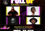 AUDIO Frida Amani Ft Country Boy X Tatic X Steph Kapela - Pull Up Remix MP3 DOWNLOAD