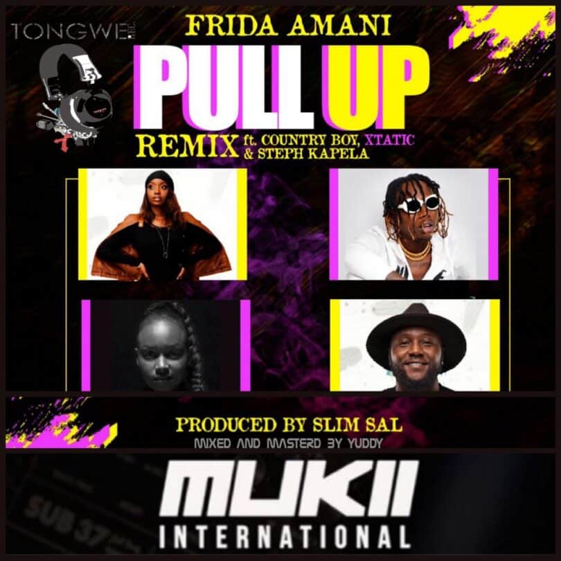 AUDIO Frida Amani Ft Country Boy X Tatic X Steph Kapela - Pull Up Remix MP3 DOWNLOAD