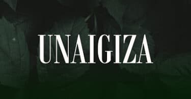 AUDIO Joh Maker Ft Moni Centrol Zone - Unaigiza MP3 DOWNLOAD