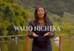 DOWNLOAD MP3 Rose Muhando Ft Ringtone - Walionicheka