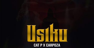 AUDIO Carpoza Ft Cat P - Usiku MP3 DOWNLOAD