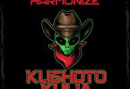 AUDIO Harmonize - Kushoto kulia MP3 DOWNLOAD