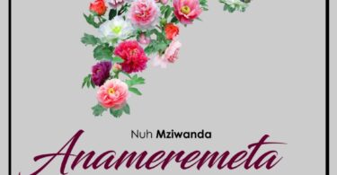 DOWNLOAD MP3 Nuh Mziwanda - Anameremeta