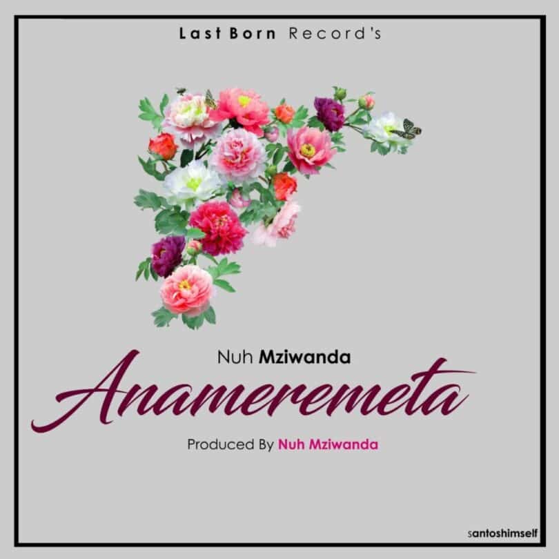 DOWNLOAD MP3 Nuh Mziwanda - Anameremeta