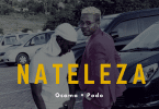 AUDIO Osama & Podo – Nateleza MP3 DOWNLOAD