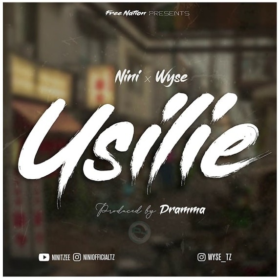 AUDIO Nini x Wyse – Usilie MP3 DOWNLOAD