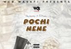 AUDIO Rayvanny X S2kizzy - Pochi Nene MP3 DOWNLOAD