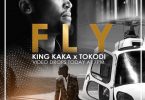 AUDIO King Kaka & Pascal Tokodi - Fly MP3 DOWNLOAD