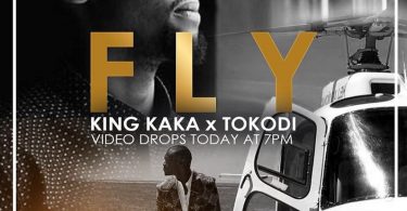 AUDIO King Kaka & Pascal Tokodi - Fly MP3 DOWNLOAD