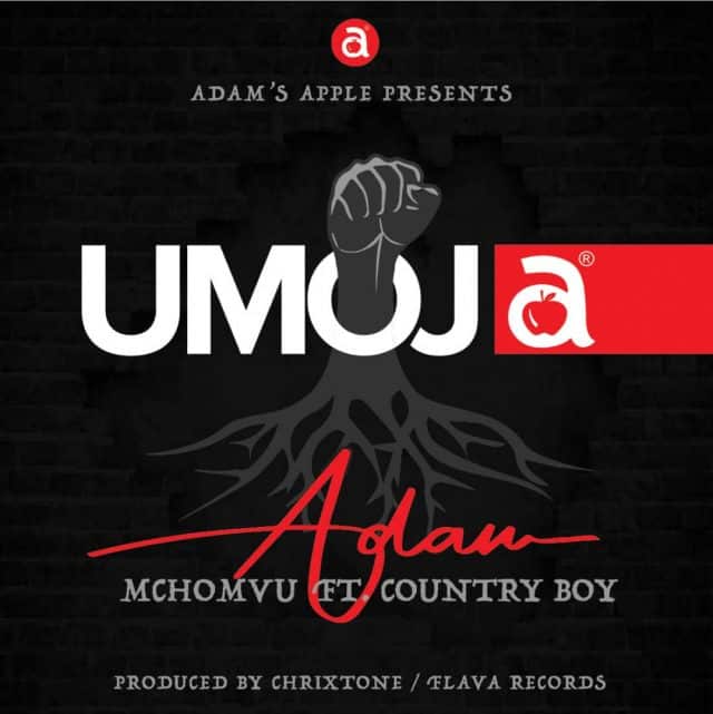 AUDIO Adam Mchomvu X Country Boy – UMOJA MP3 DOWNLOAD