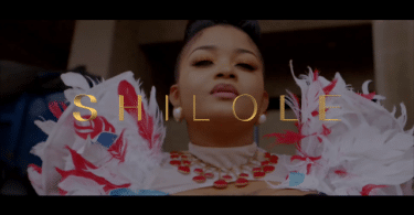 DOWNLOAD VIDEO Shilole – Pindua Meza Mp4