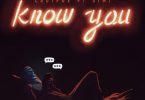 DOWNLOAD MP3 Ladipoe - Know You Ft. Simi