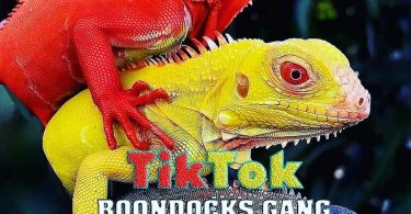 DOWNLOAD MP3 Boondocks Gang - Tiktok