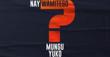 DOWNLOAD MP3 Nay Wa Mitego - Mungu Yuko Wapi Ft Shamy