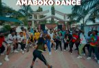 DOWNLOAD VIDEO Rayvanny Ft Diamond Platnumz – Amaboko Dance Video