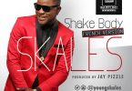 AUDIO Skales - Shake Body MP3 DOWNLOAD