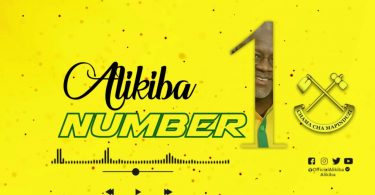 AUDIO Alikiba - NUMBER 1 MP3 DOWNLOAD