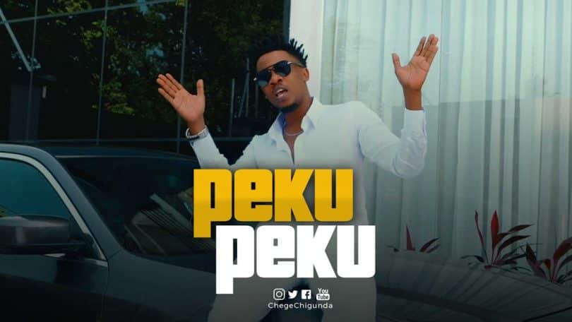 DOWNLOAD VIDEO Chege - Pekupeku Ft Mrisho Mpoto Mp4