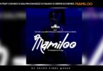 DOWNLOAD MP3 Dj seven ft Con Boi, Salmin Swaggz, Maddoh & Reime Schemes - Mamiloo