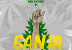 DOWNLOAD MP3 Mr Kesho - Ganja