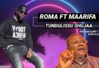 DOWNLOAD MP3 Roma Mkatoliki - Tundulissu Shujaa Ft Maarifa