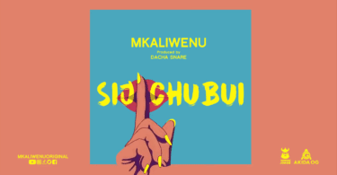 AUDIO Diamond Platnumz Ft Mkaliwenu -Sijichubui (Haunisumbui Remix) MP3 DOWNLOAD