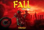 DOWNLOAD MP3 Mbosso - Fall (Prod. S2kizzy)