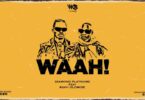 DOWNLOAD MP3 Diamond Platnumz Ft Koffi Olomide - Waah! AUDIO