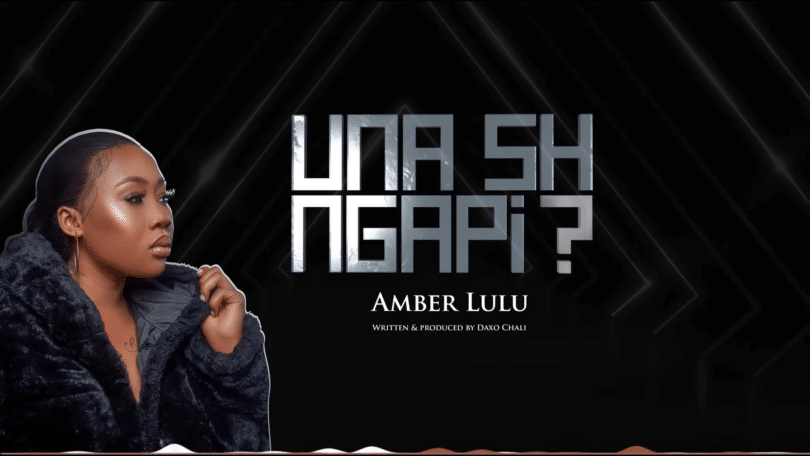 AUDIO Amber Lulu - Unashingapi MP3 DOWNLOAD