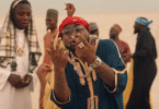 DOWNLOAD VIDEO Davido - Jowo MP4