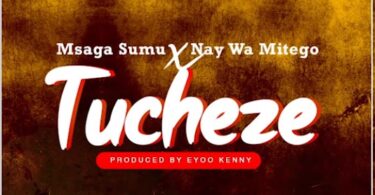 DOWNLOAD MP3 Msaga Sumu X Nay Wa Mitego - Tucheze