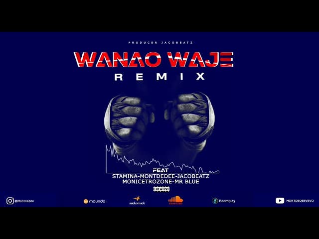 AUDIO Stamina - WANAO WAJE Remix Ft Mr blue X MontDedee X Jacobeat & Moni Centrozone MP3 DOWNLOAD