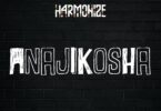 AUDIO Harmonize - Anajikosha MP3 DOWNLOAD