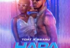 DOWNLOAD MP3 Timmy Tdat - Hapa Ft Ssaru AUDIO