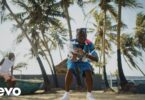 VIDEO Dj Spinall – Sere Ft Fireboy Dml MP4 DOWNLOAD